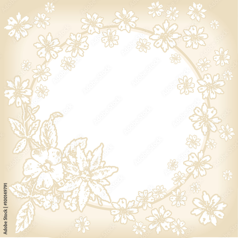 Obraz premium Spring flowers frame