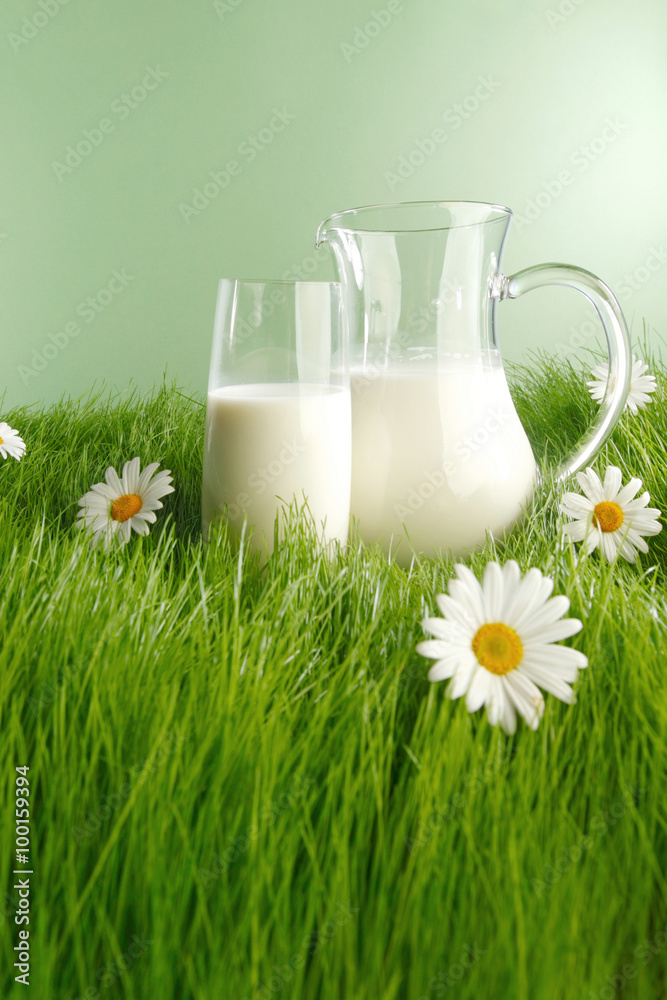Milk in jar and glass on flower meadow Milk in jar and glass on flower meadow