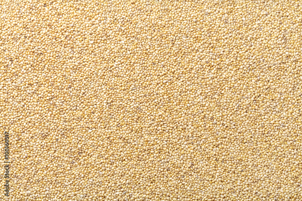 foxtail millet with husks foxtail millet with husks