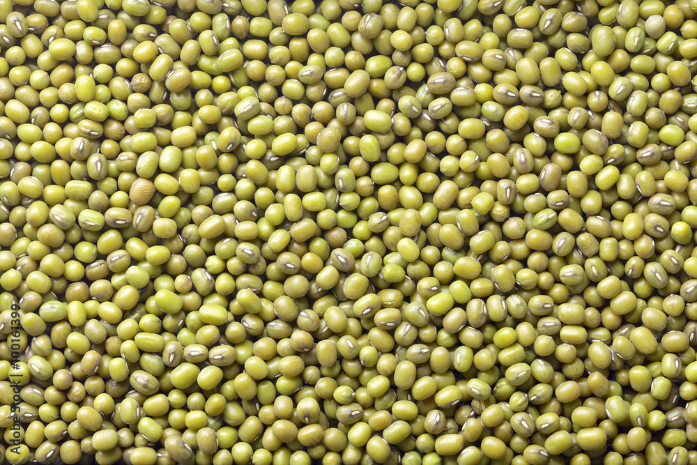 mung bean mung bean