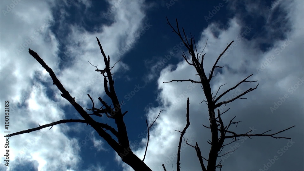 Dead tree and moving clouds across sky in time lapse. The film was shot in late September in partly cloudy day. Dead tree and moving clouds across sky in time lapse. The film was shot in late September in partly cloudy day.