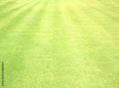 Golf Courses green lawn © scenery1
