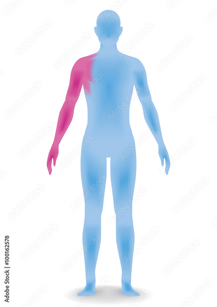 human body silhouette, vector illustration human body silhouette, vector illustration