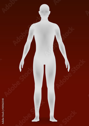 human body silhouette, vector illustration