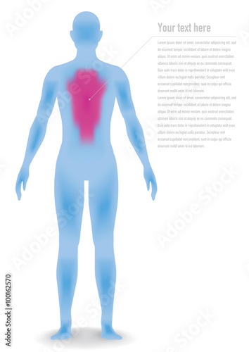 human body silhouette, vector illustration