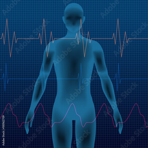 human body silhouette and vital sign waveforms, vector illustration