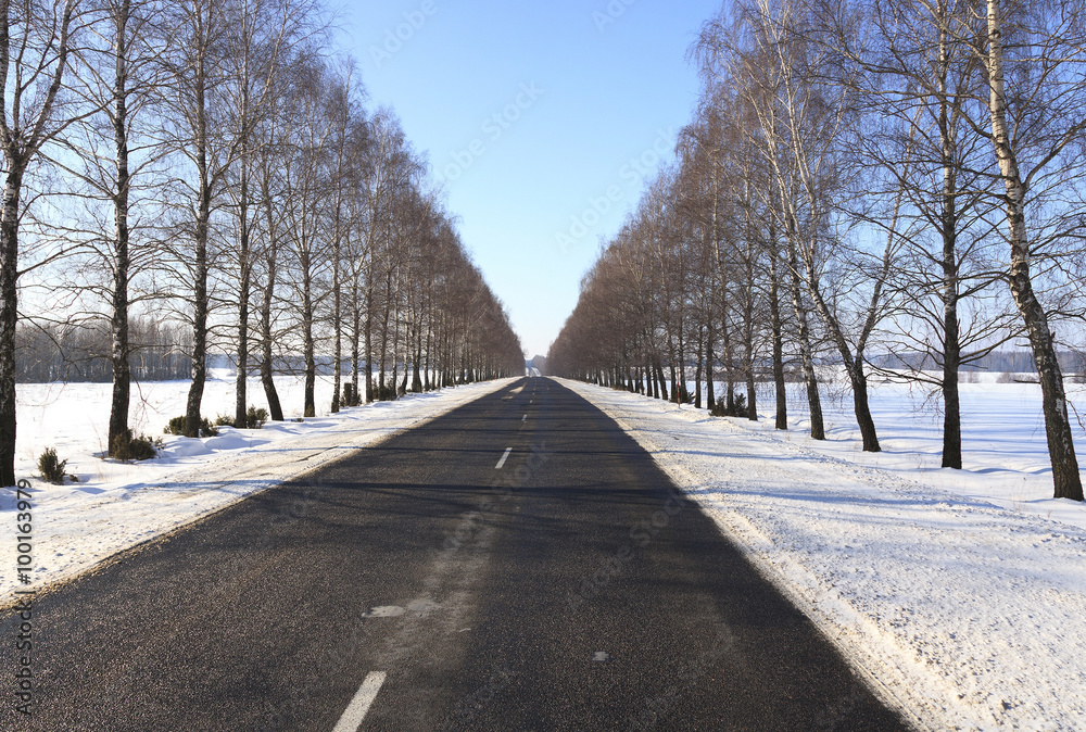winter road  with snow