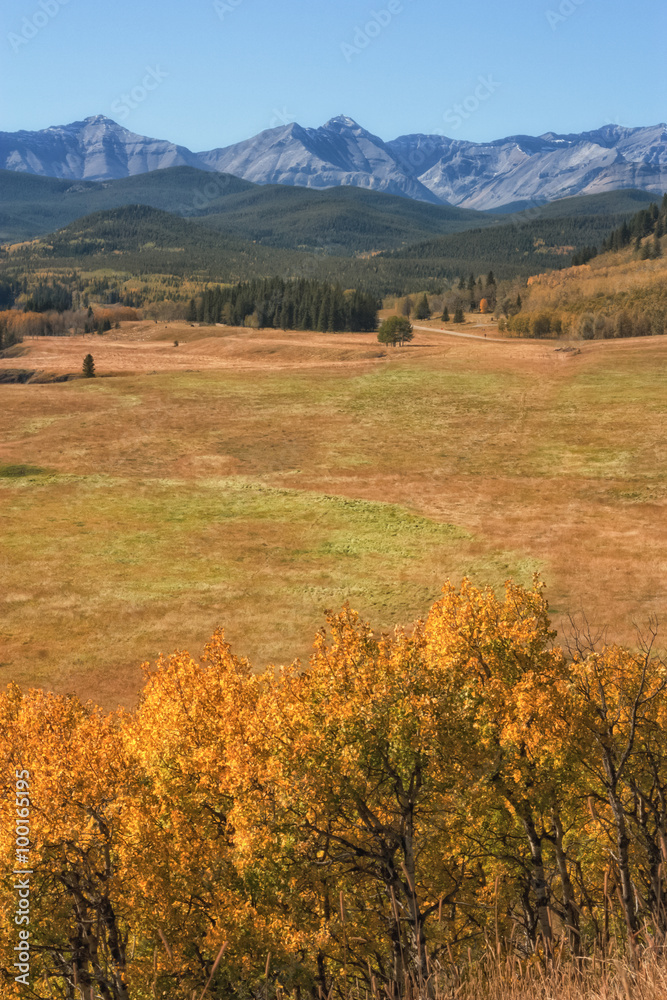 Obraz premium Autumn where Praire Meets Mountains