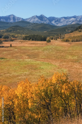 Autumn where Praire Meets Mountains