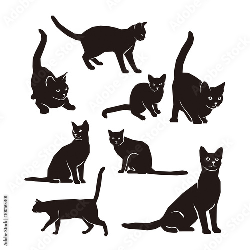 Fototapeta Naklejka Na Ścianę i Meble -  Cats Silhouettes