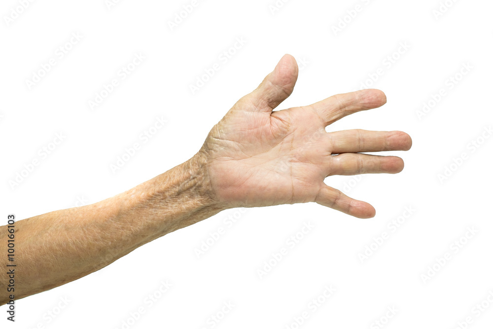 Asian Senior woman's hand isolated on white background Asian Senior woman's hand isolated on white background