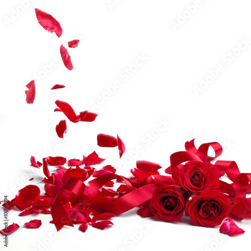Fototapeta Naklejka Na Ścianę i Meble -  Red roses and rose petals on white background