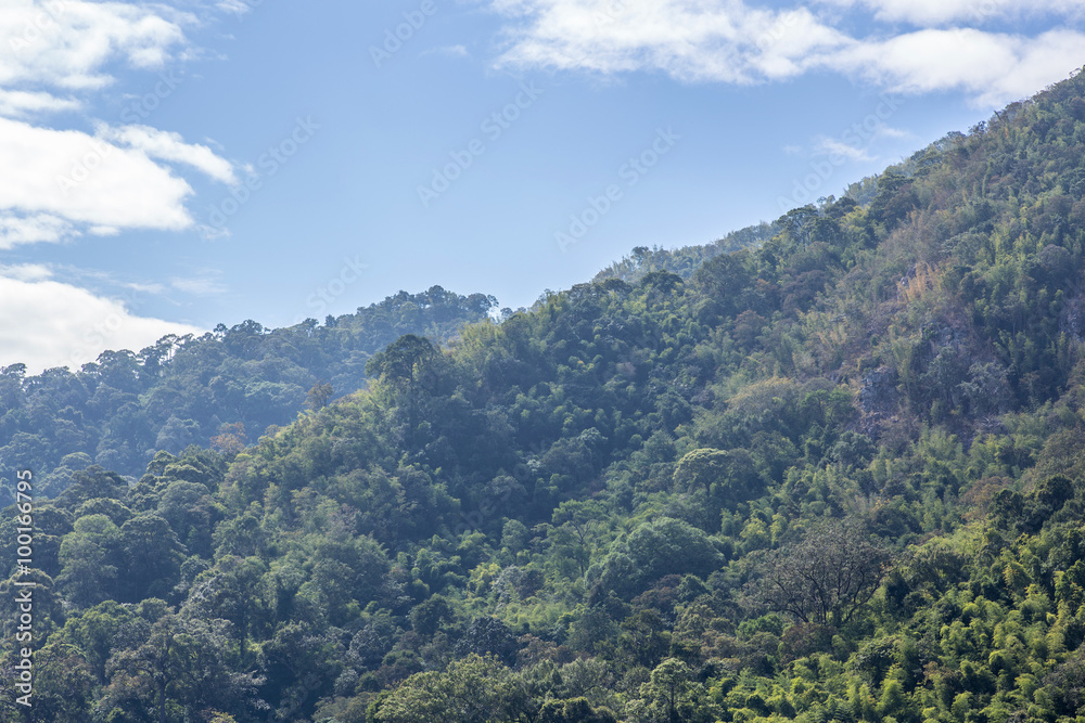 Naklejka premium mountain and blue sky