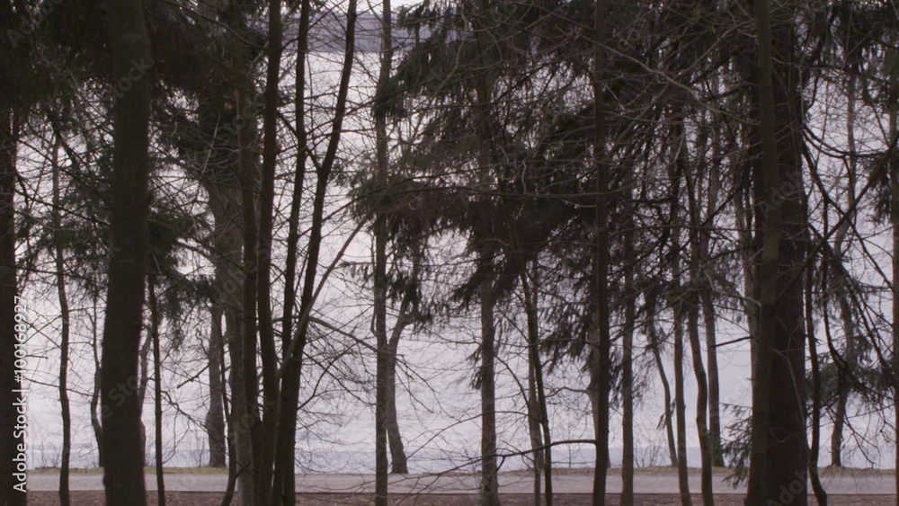 slow motion. athlete running in the park. slow motion. athlete running in the park.
