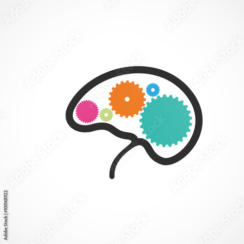 cerveau,science 