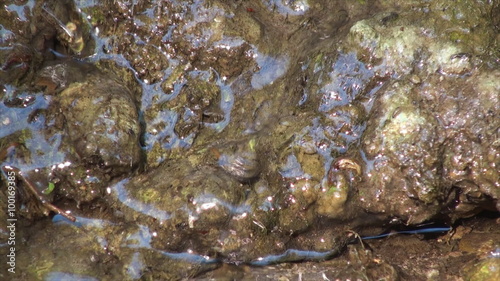 Close up of tiny stream in mud ground 2. photo