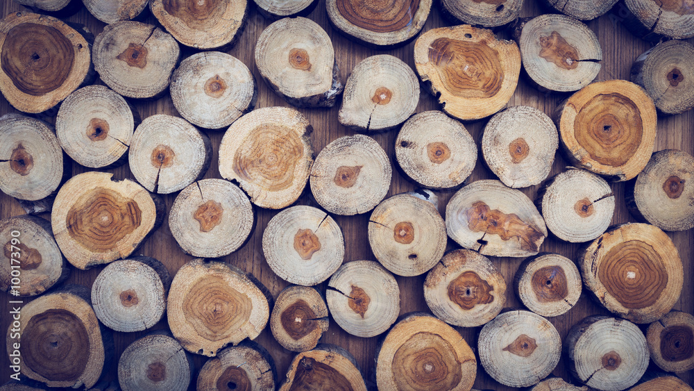small piece of wood logs used for design decorated interior small piece of wood logs used for design decorated interior