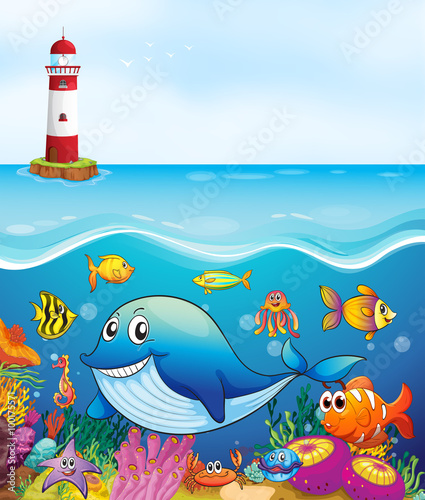 Sea animals swimming under the ocean