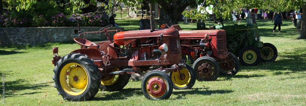 Fototapeta premium Tracteurs anciens