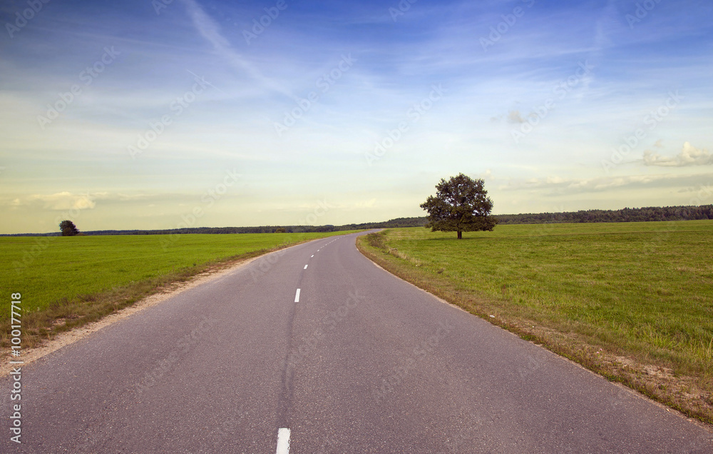 Fototapeta premium Spring road , countryside 