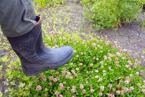 foot in rubber boots trampling the flowers