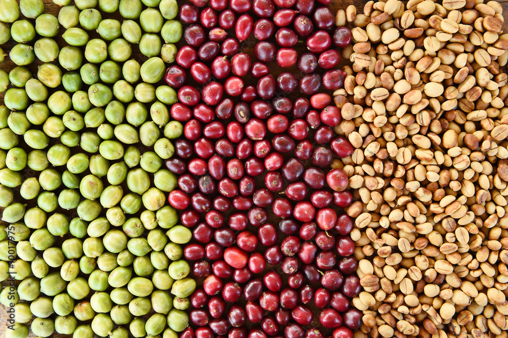 Coffe beans and fresh berries beans backgourng