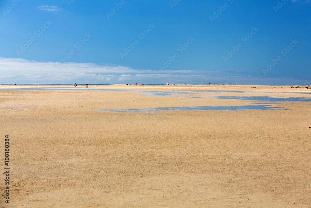Beach Playa de Sotavento, Canary Island Fuerteventura, Spain Beach Playa de Sotavento, Canary Island Fuerteventura, Spain