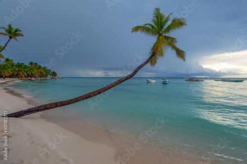 Fototapeta Naklejka Na Ścianę i Meble -  Tropical beach with palm trees and ocean