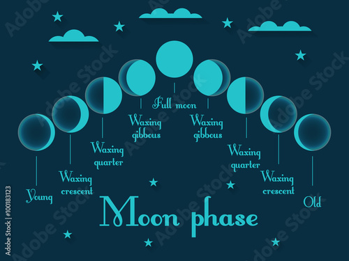 The phases of the moon. Vector illustration.