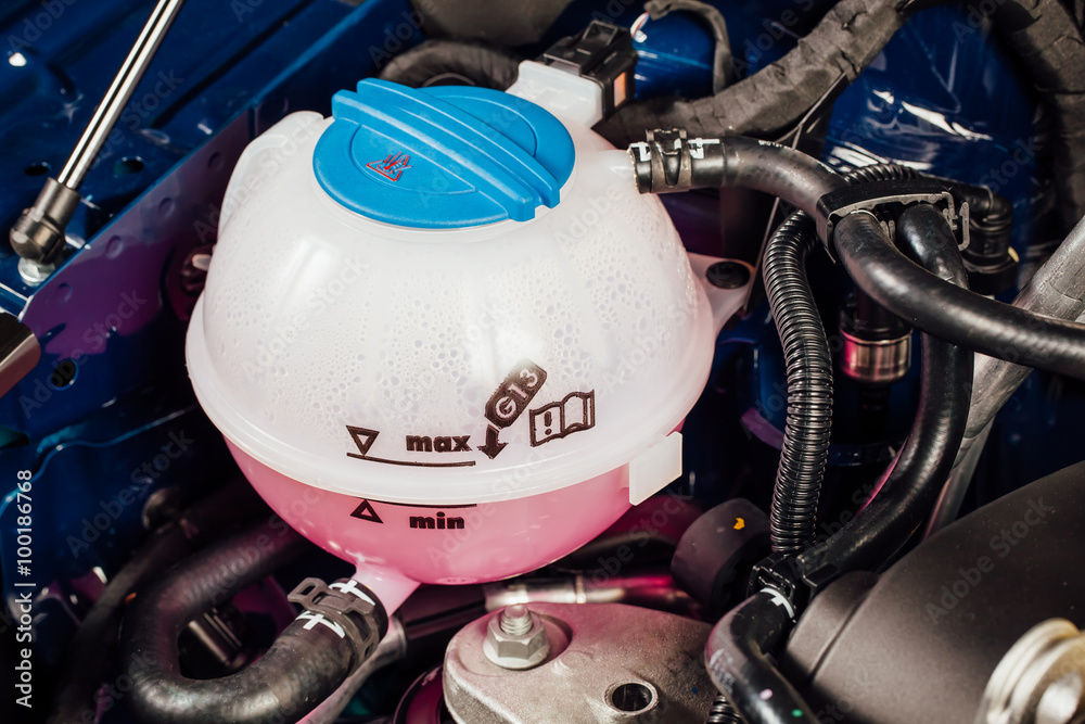 coolant antifreeze tank under engine hood Stock Photo Adobe Stock