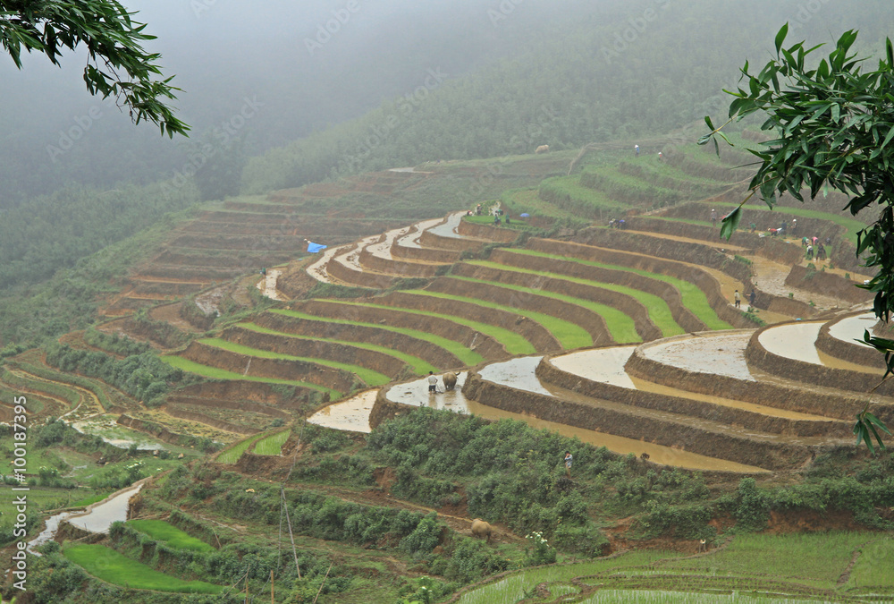 view of village CatCat with rice terraces view of village CatCat with rice terraces