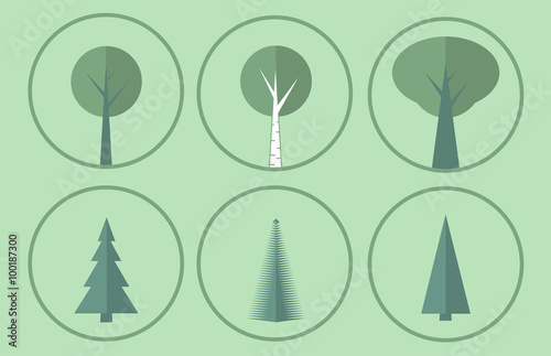 Trees in russian siberia forest