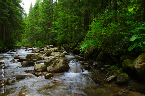 Mountain river