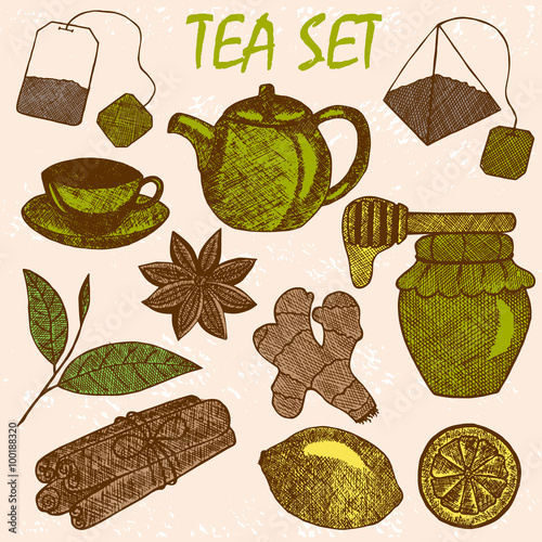 Hand drawn tea culture objects. Teapot, lemon, cinnamon, honey, tea leaf, ginger, tea bag. Vector sketch illustration.