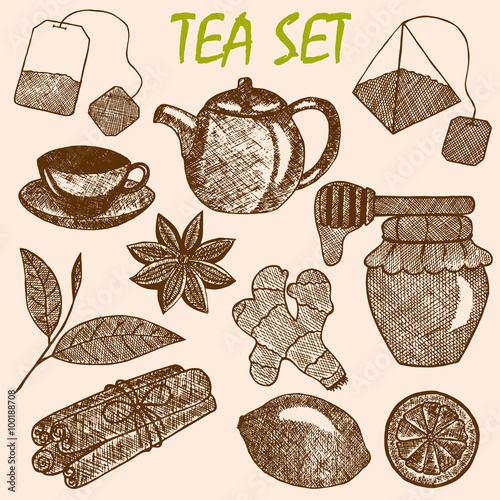 Hand drawn tea culture objects. Teapot, lemon, cinnamon, honey, tea leaf, ginger, tea bag. Vector sketch illustration.