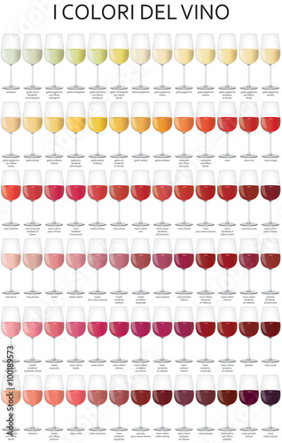 i colori del vino photo