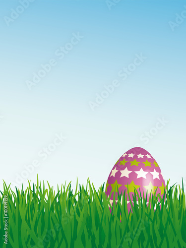 Easter Egg in Grass with Star Pattern