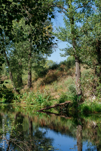 River among the trees