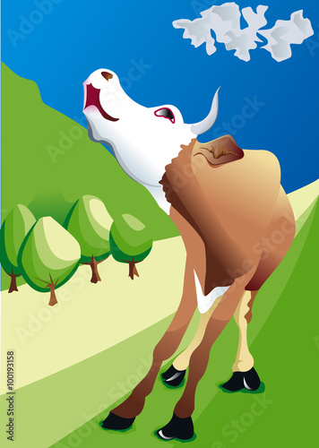 Vache meuglant dans son champs