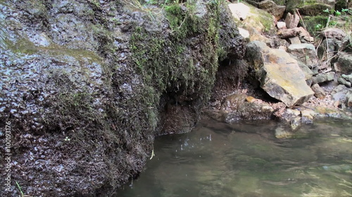 Dripping water and moss. photo