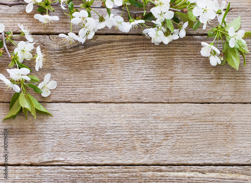 Fototapeta Naklejka Na Ścianę i Meble -  flowers on wooden background
