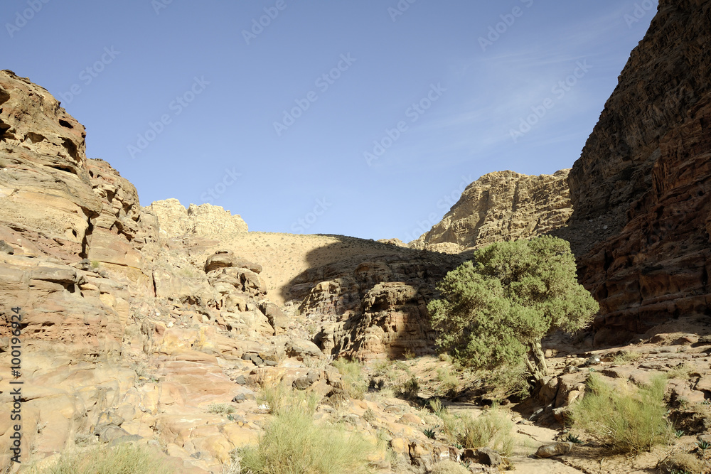 Desert mountain landscape, Jordan
