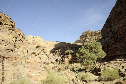 Desert mountain landscape  Jordan