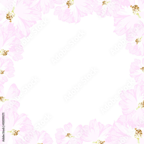 Frame with  pastel pink roses