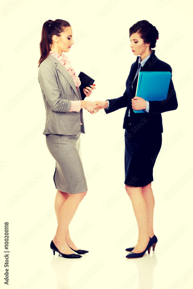 Fototapeta premium Two women with notebooks giving handshake.