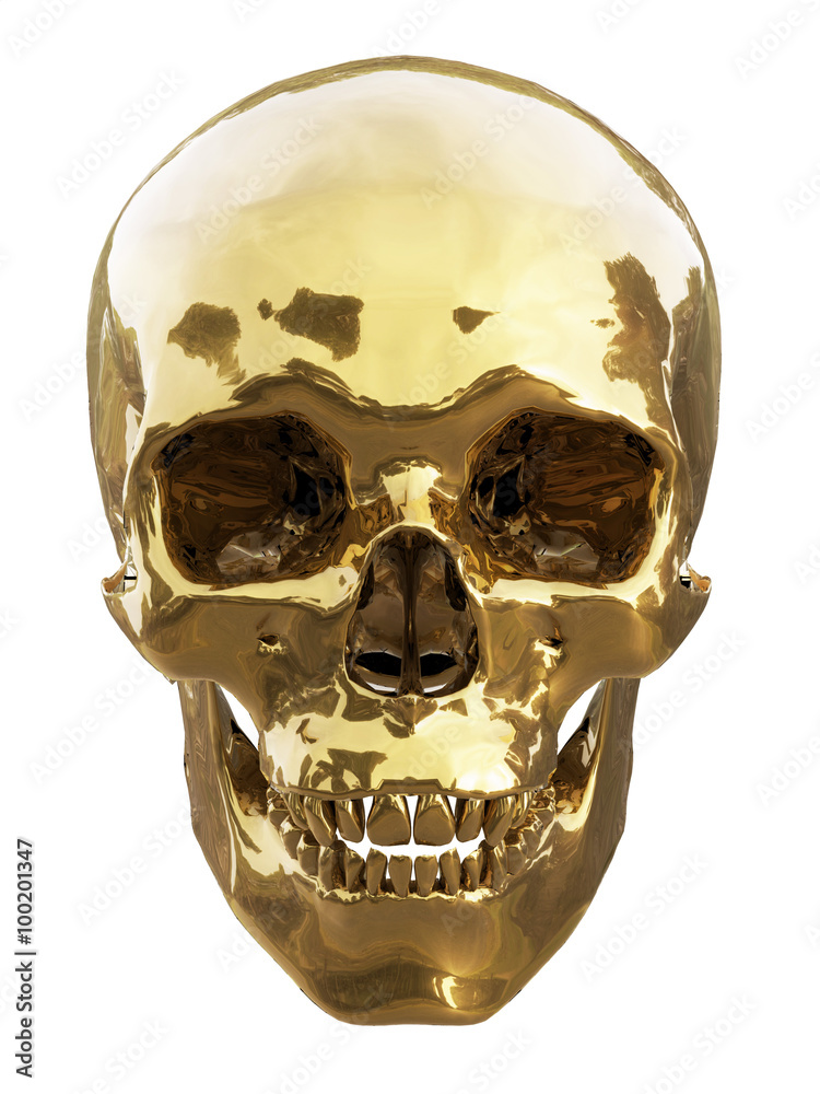 custom made wallpaper toronto digitalHuman skull made of gold