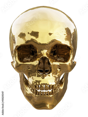 Wallpaper Mural Human skull made of gold Torontodigital.ca