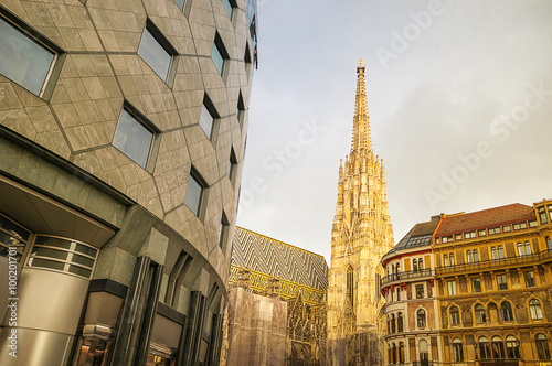St. Stephan Cathedral in Vienna © unclepodger