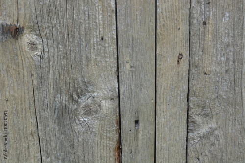 wood grain