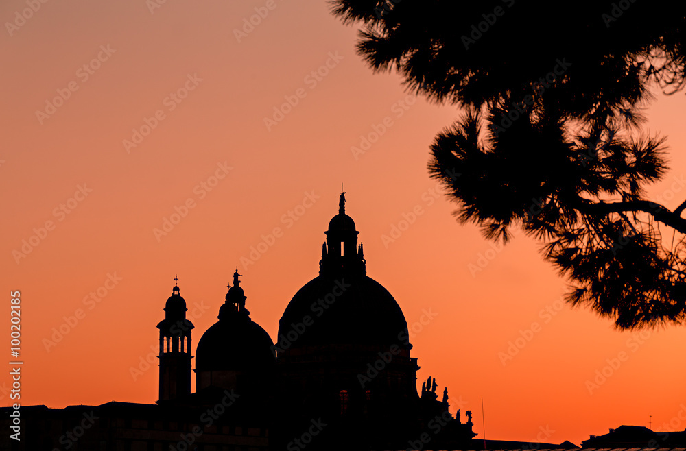Venice cathedral dome and tree silhouette at sunset. Amazing bur